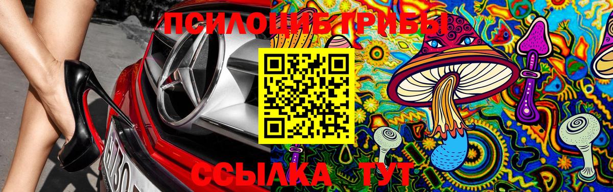 что такое   Псилоцибиновые грибы мухоморы  Вход с VPN  Новочебоксарск 